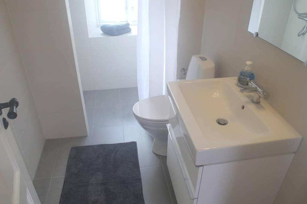 Next To New Harbor / 3 Bedroom & 2 Bath Rooms โคเปนเฮเกน ภายนอก รูปภาพ